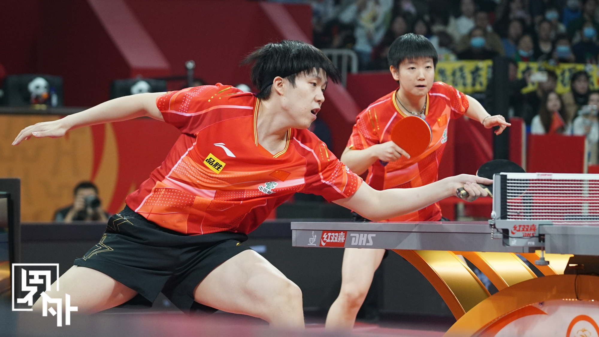 DB电竞官网登录-奥地利乒乓球队横扫中国乒乓球队,波尔高光表现的简单介绍